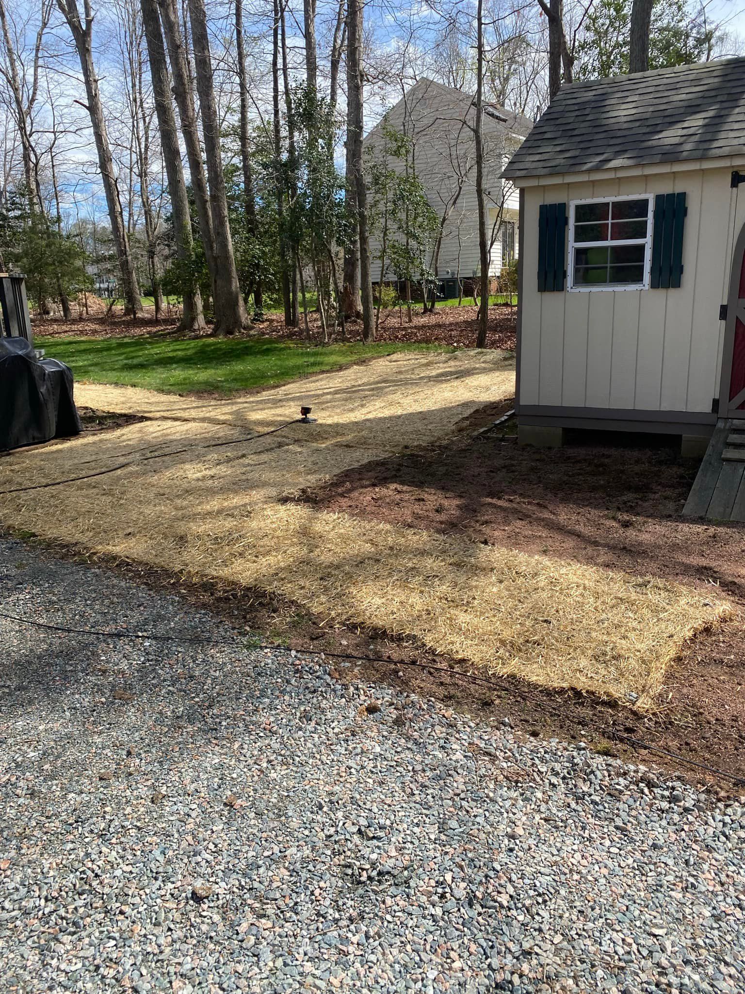 A shed is sitting in the middle of a gravel driveway next to a house.