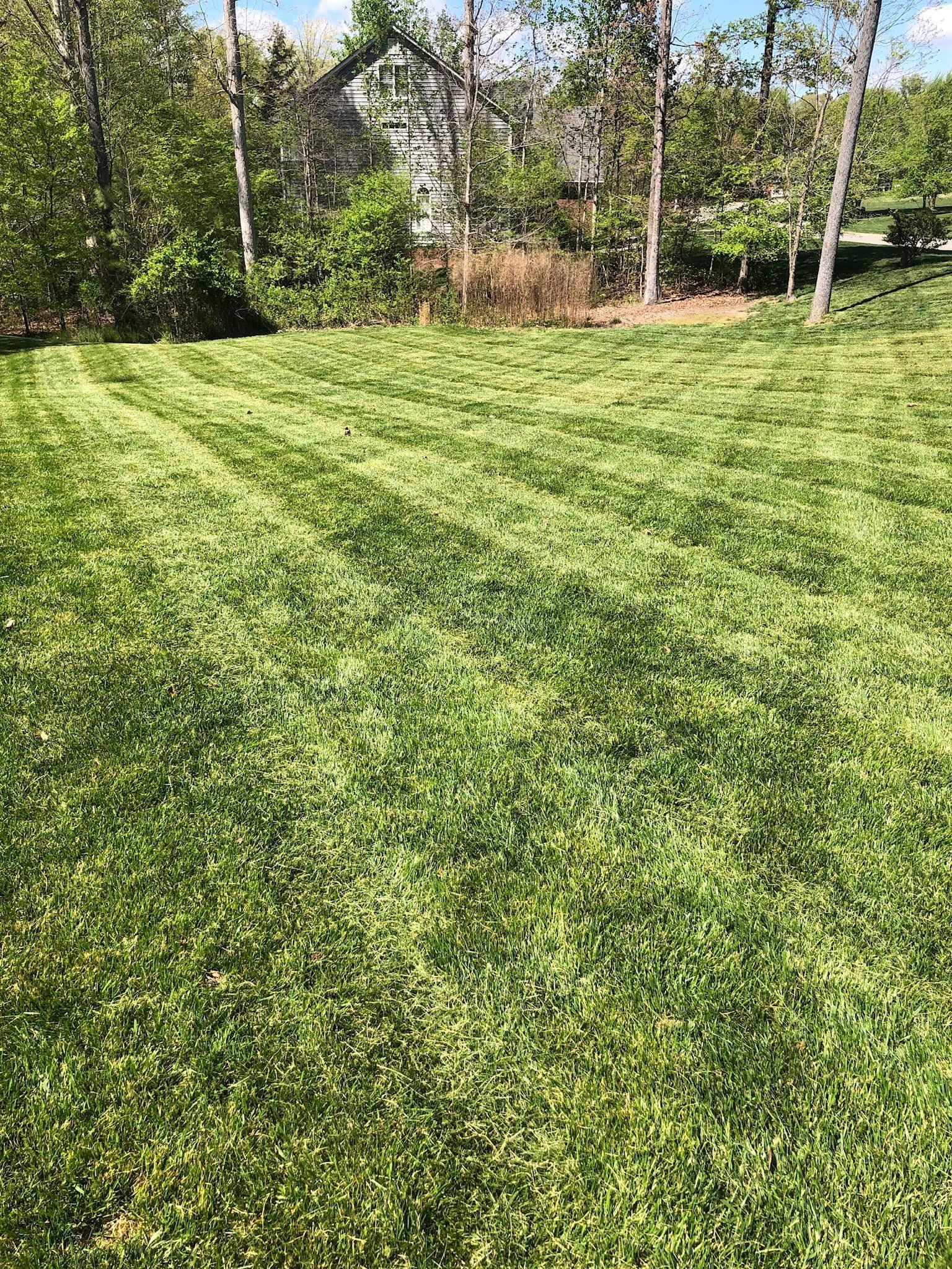 A lush green lawn with trees in the background and a house in the background.