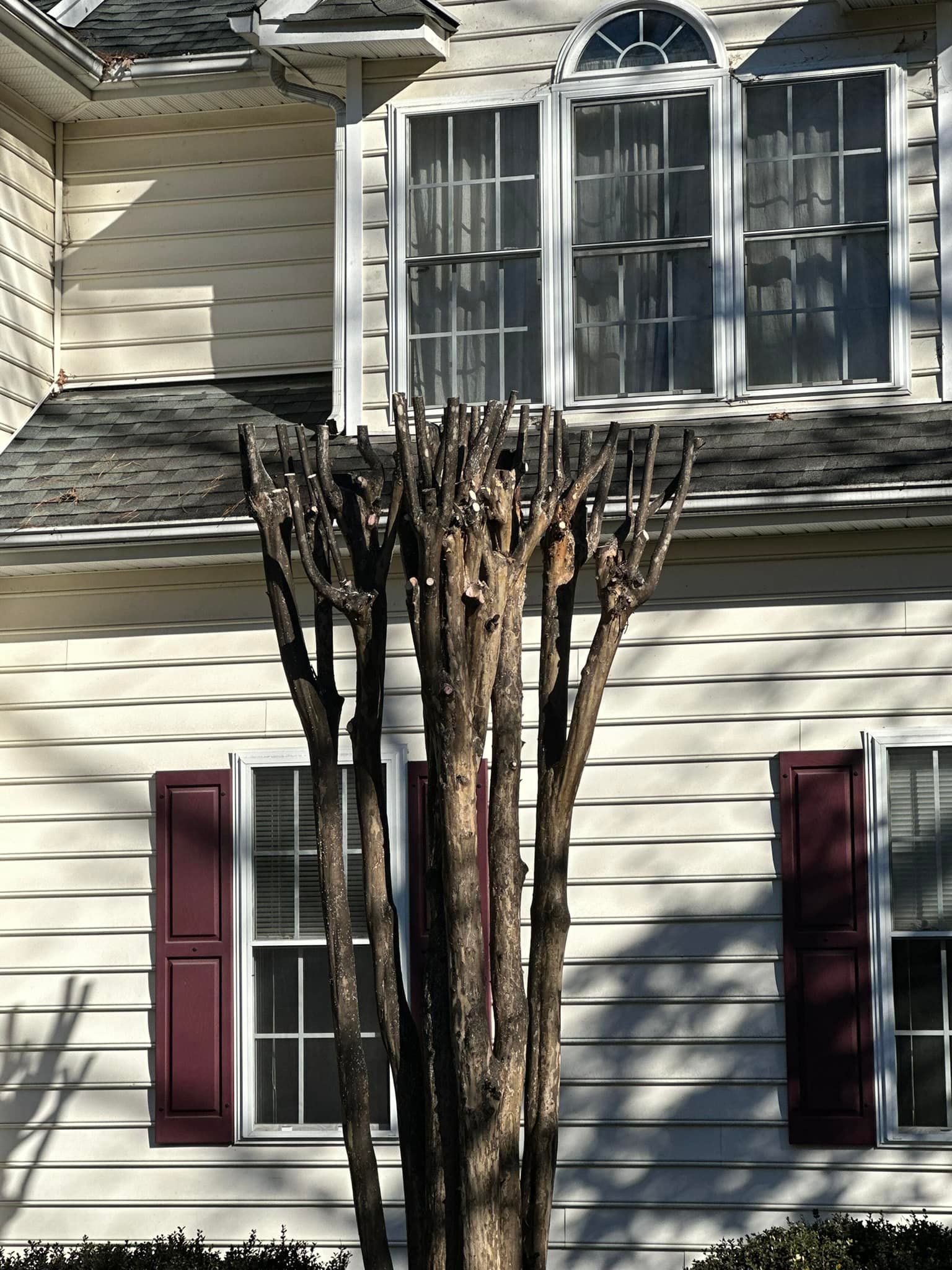 A white house with a tree in front of it