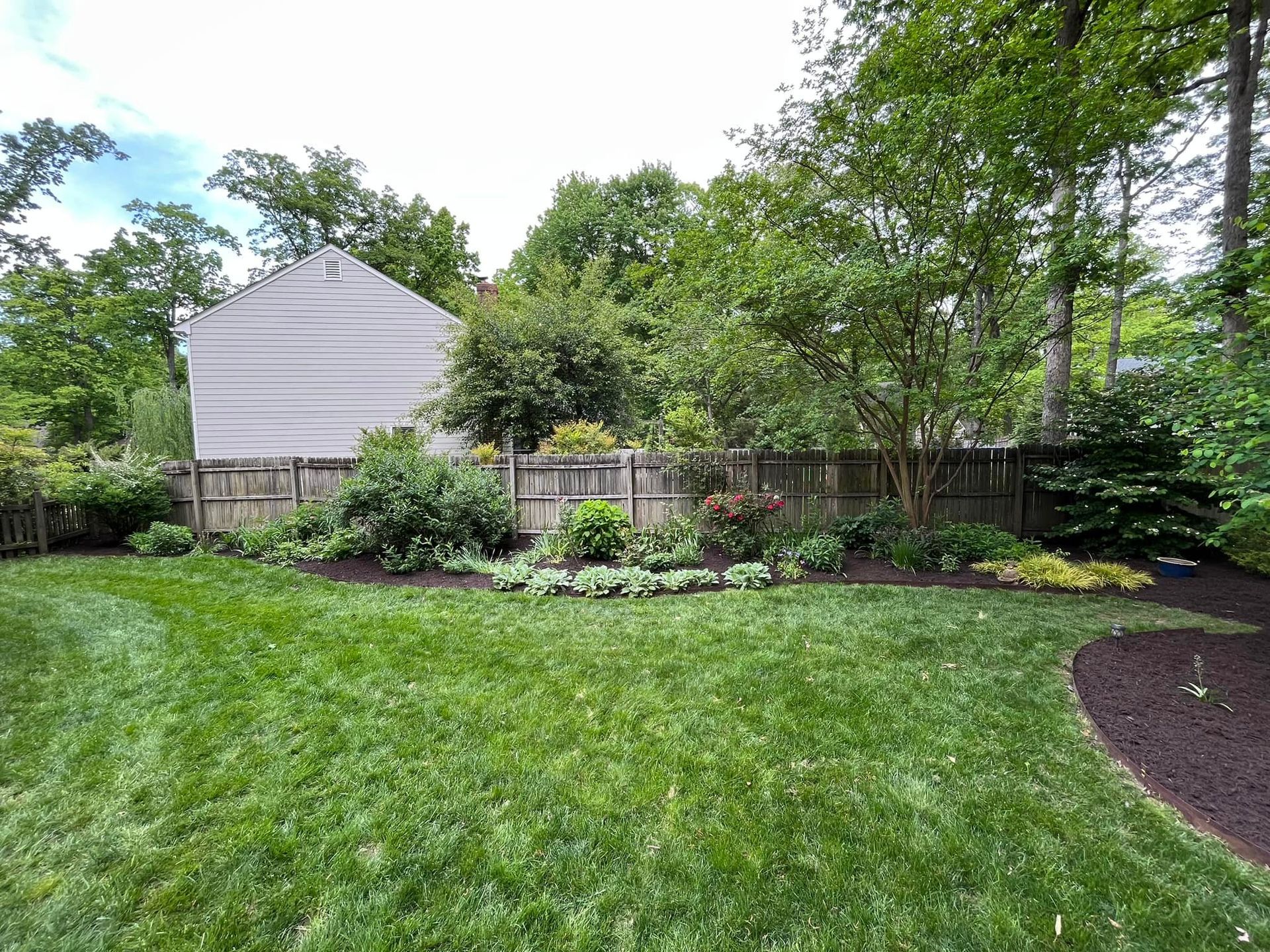 A lush green yard with a fence and a house in the background.