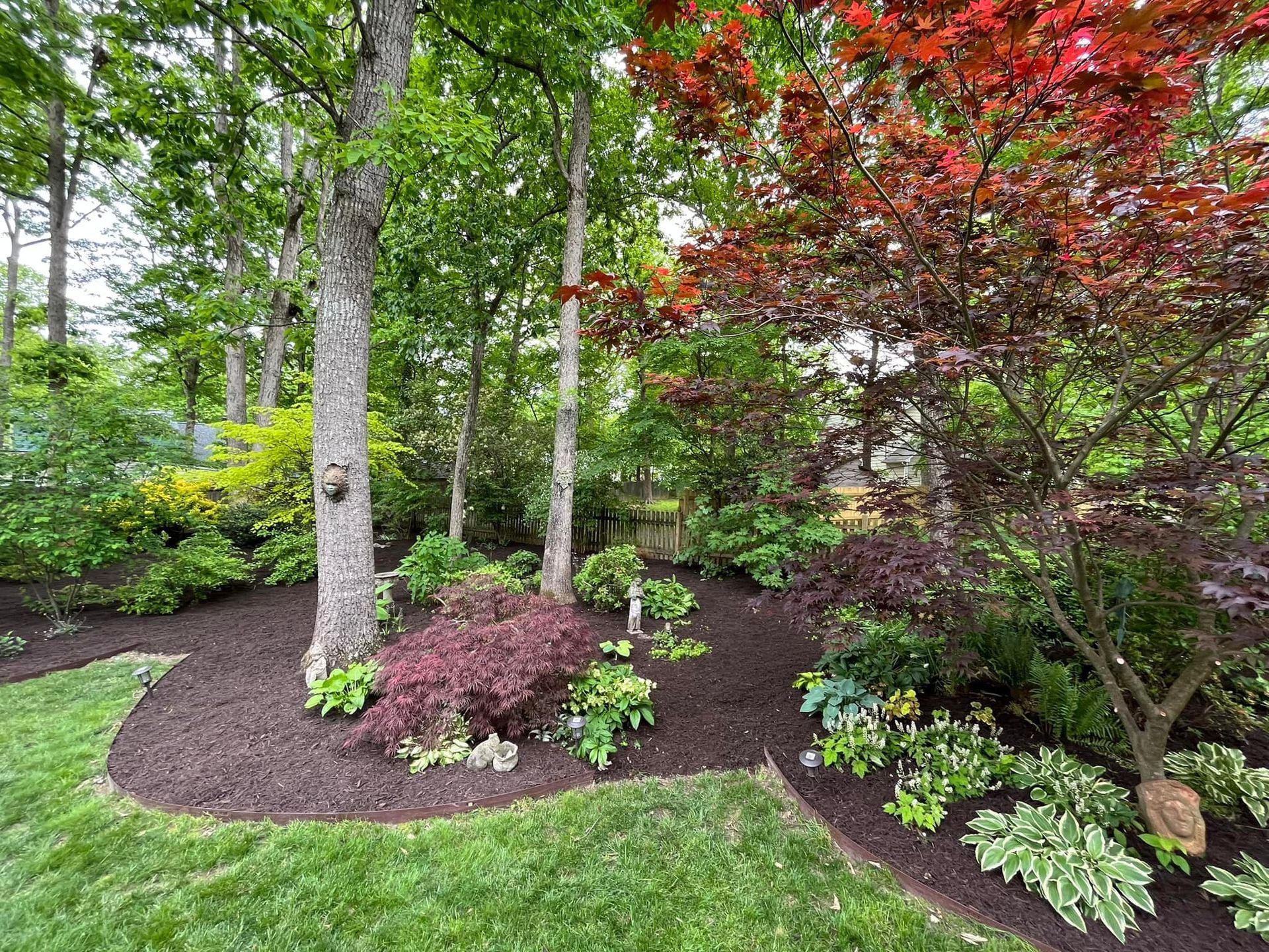 A garden filled with lots of trees and plants.