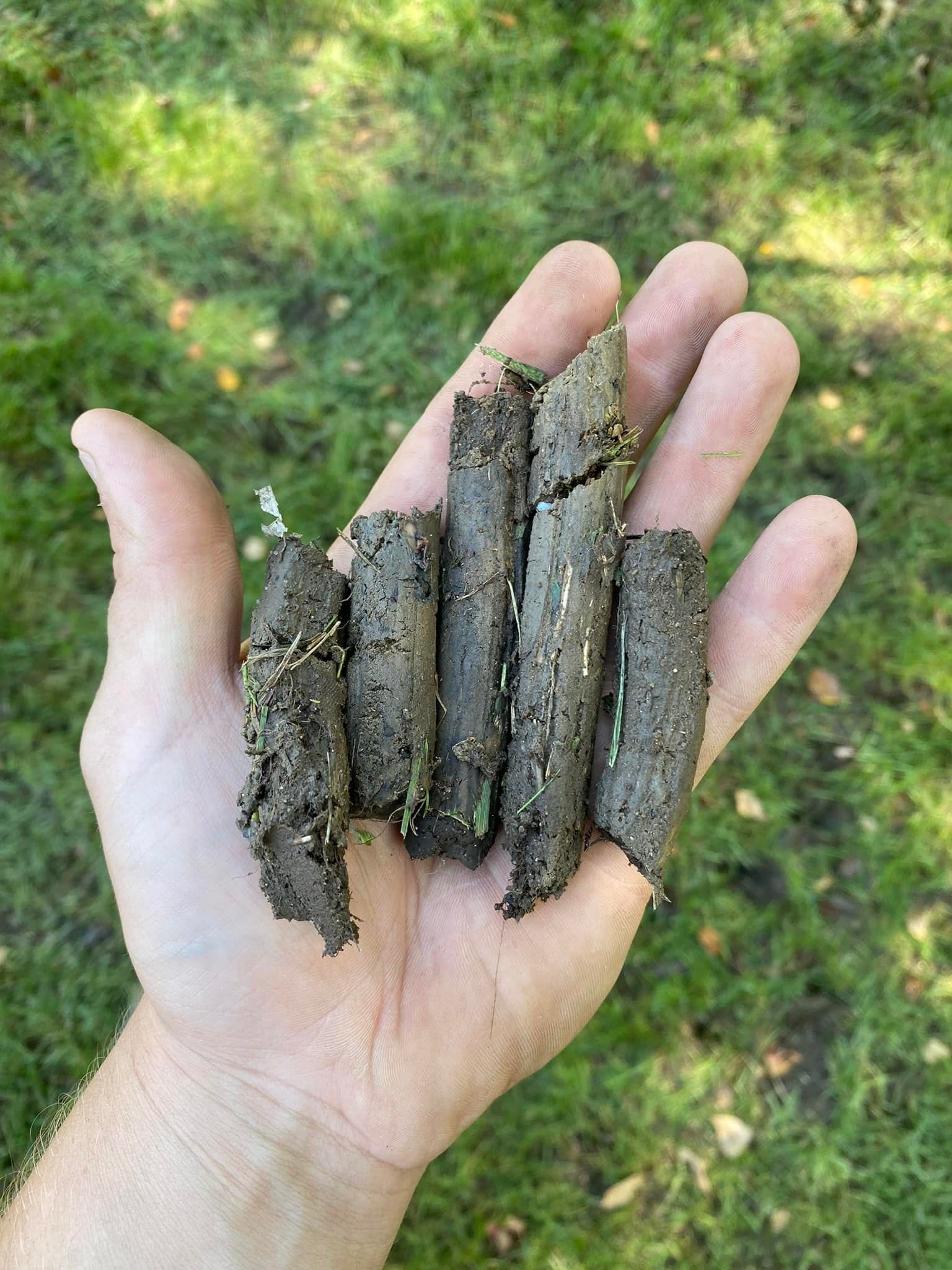 A person is holding a pile of dirt in their hand.