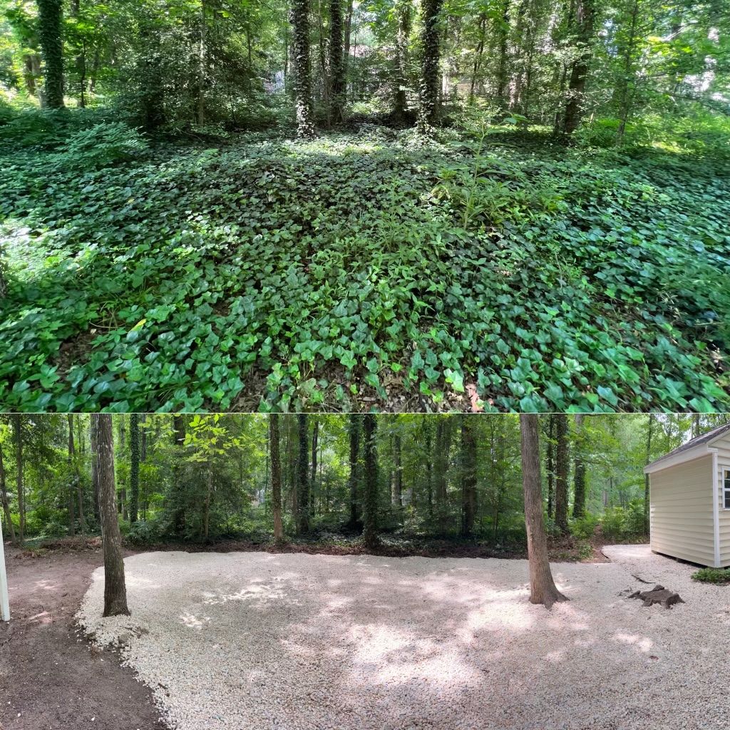 A before and after picture of a lush green forest and a gravel driveway.