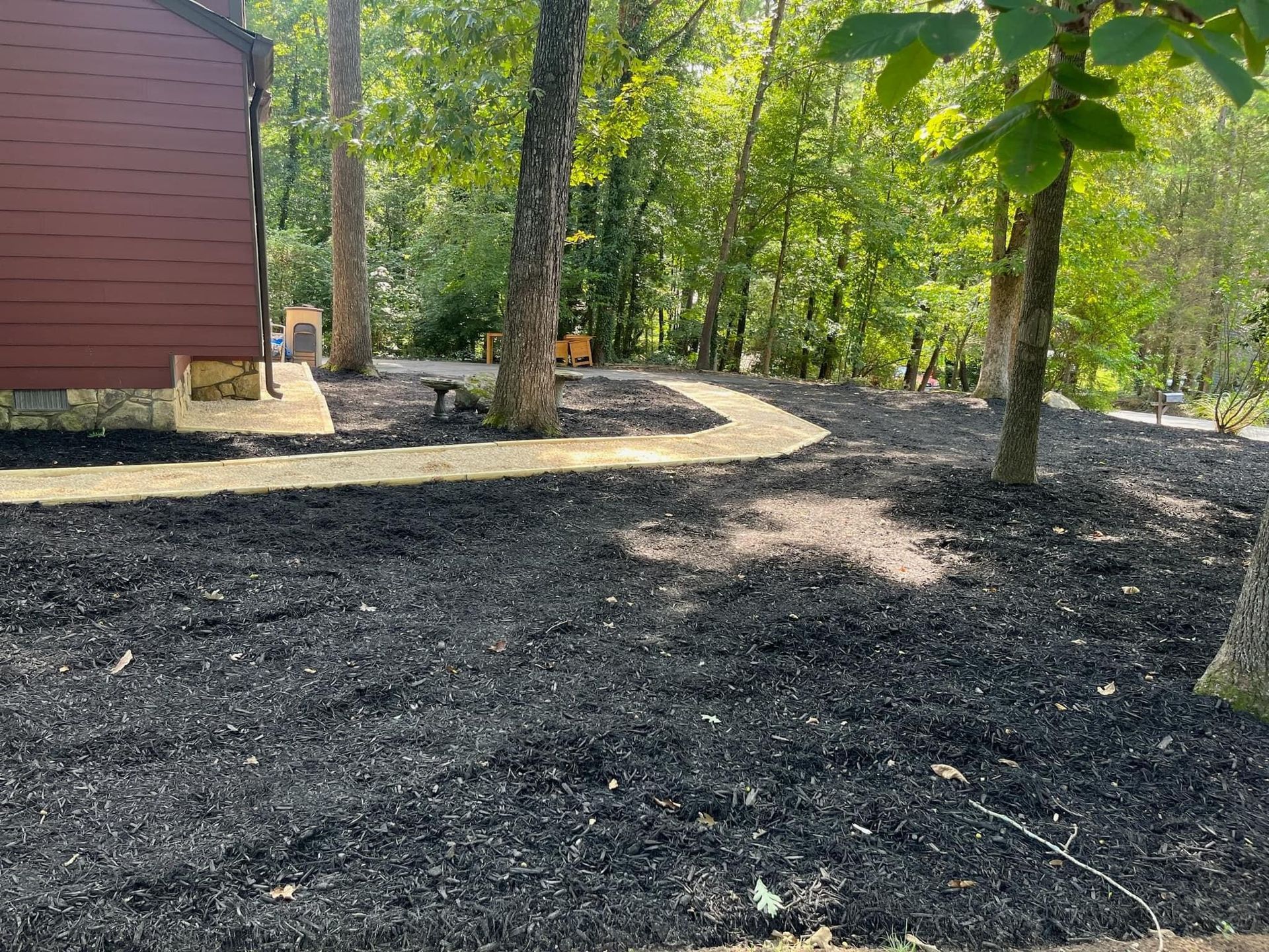 There is a path leading to a house in the woods.