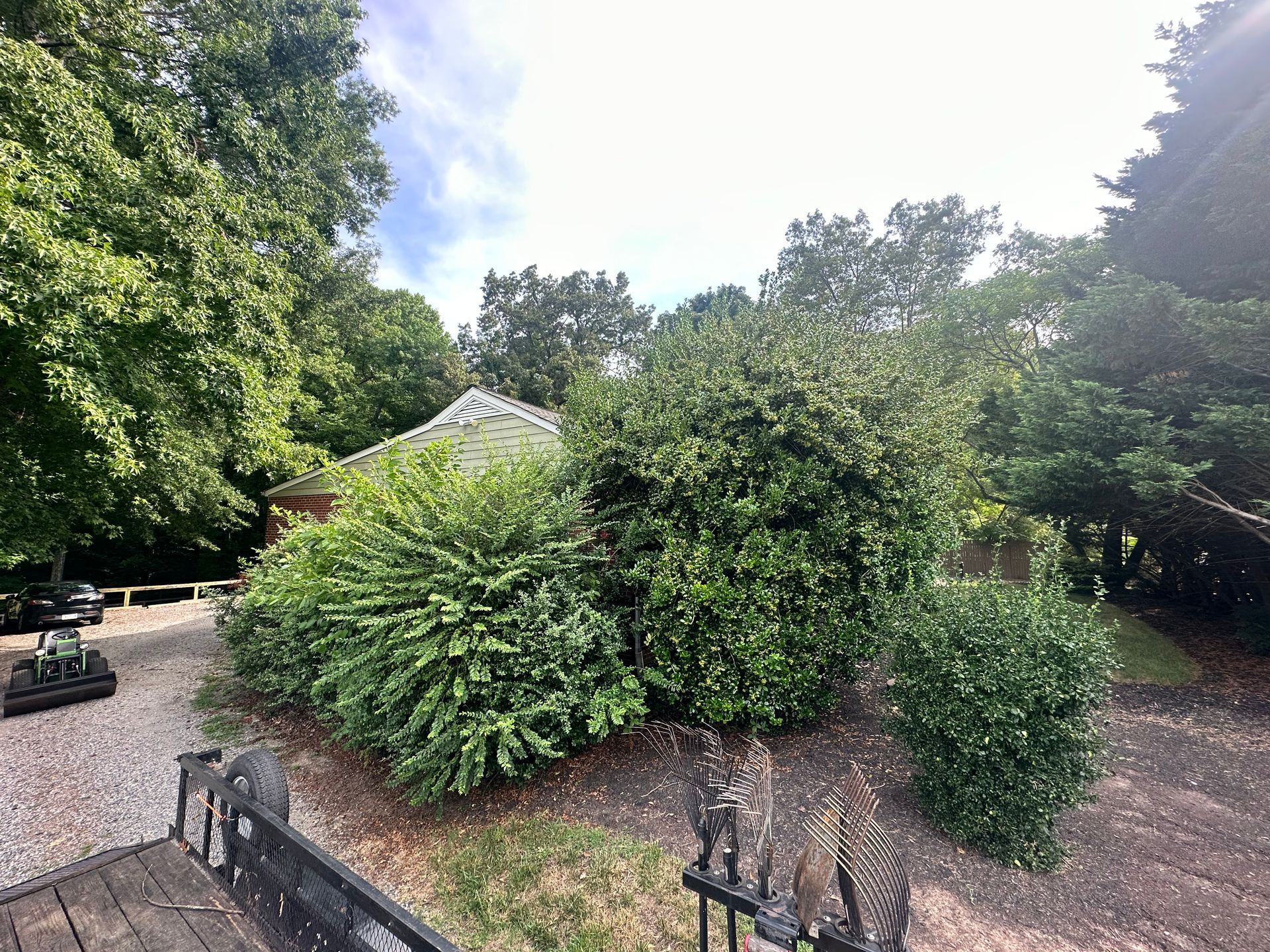 A fenced in yard with trees and bushes and a gazebo in the background.