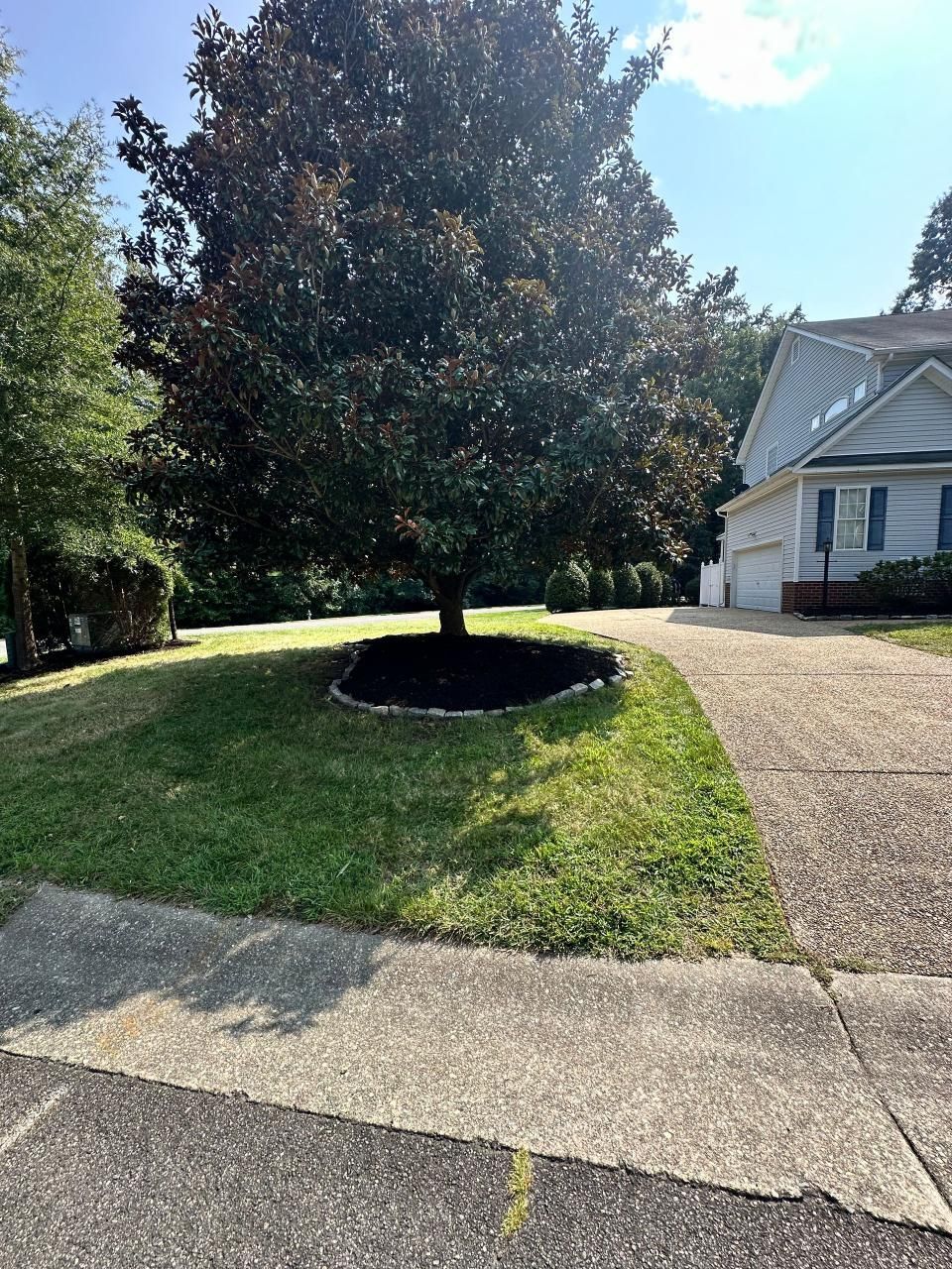 A tree in the middle of a driveway in front of a house