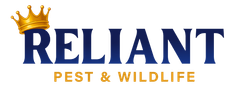 Reliant Pest & Wildlife