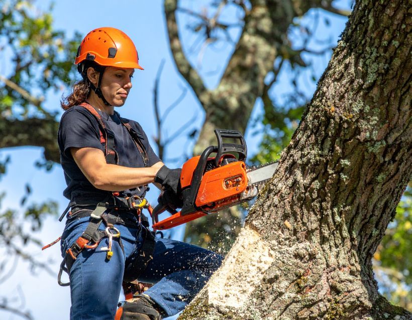 Woman in safety gear using a chainsaw to cut a tree branch.