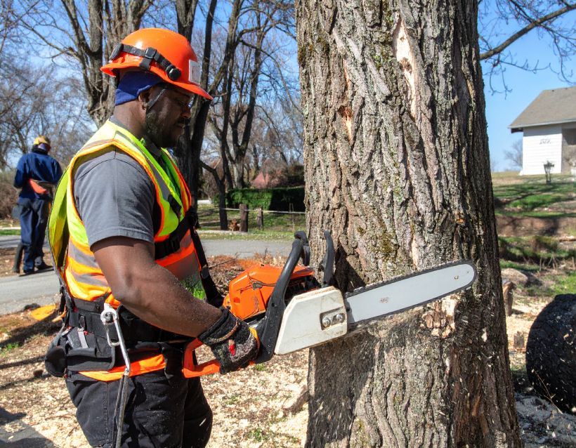 Arborist using chainsaw on a tree. He wears a safety helmet, vest, and gloves. Outdoor setting.