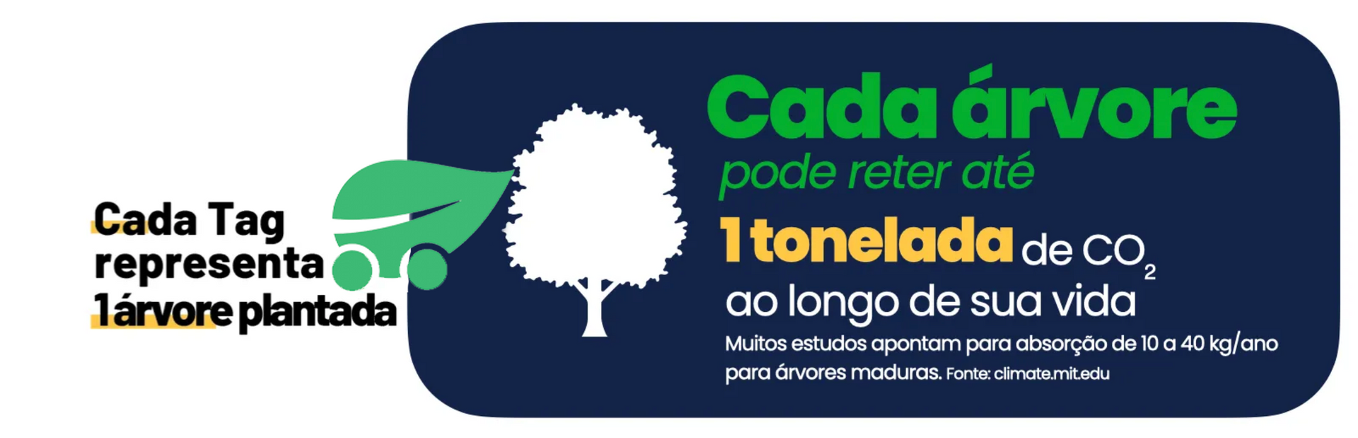 Infográfico azul e branco: cada árvore plantada pode reter 1 tonelada de CO2 ao longo de sua vida.