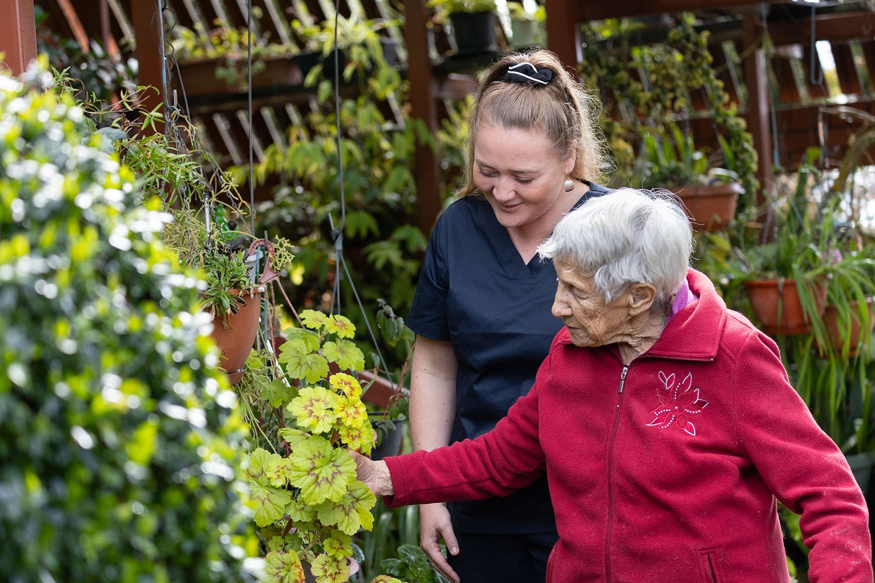 Caregiver Assisting Older Person in a Garden, Touching Yellow Foliage — Premium Aged & Community Services In Tamworth, NSW