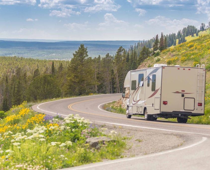 Camper Driving Down Road in The Beautiful Countryside Among Pine Trees and Flowers_ Camper Driving Down Road in The Beautiful Countryside Among Pine Trees and Flowers_