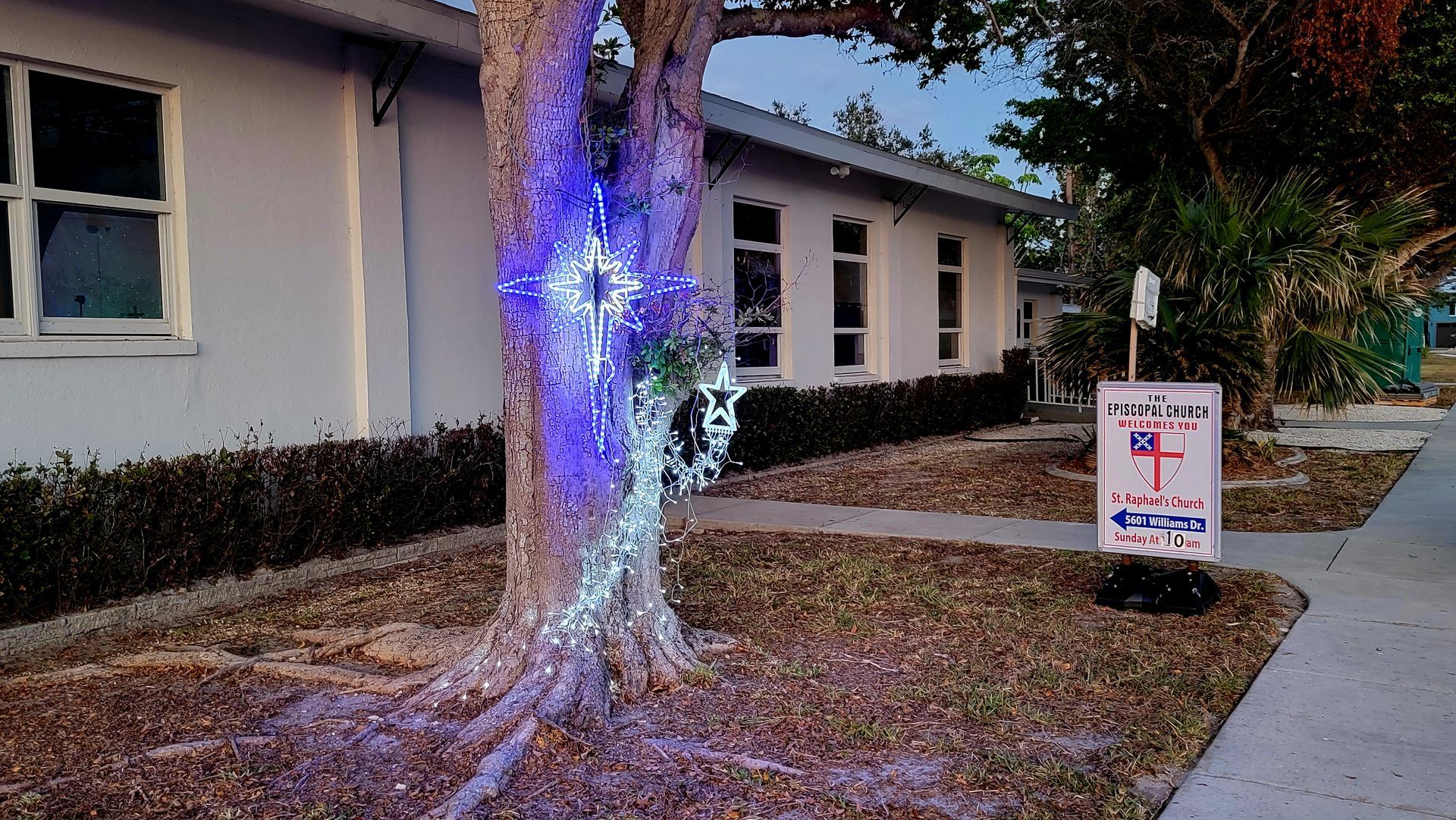 Tree with blue lights and sign in front of a white building.
