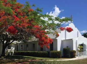 A white church with a tree in front of it with red flowers.