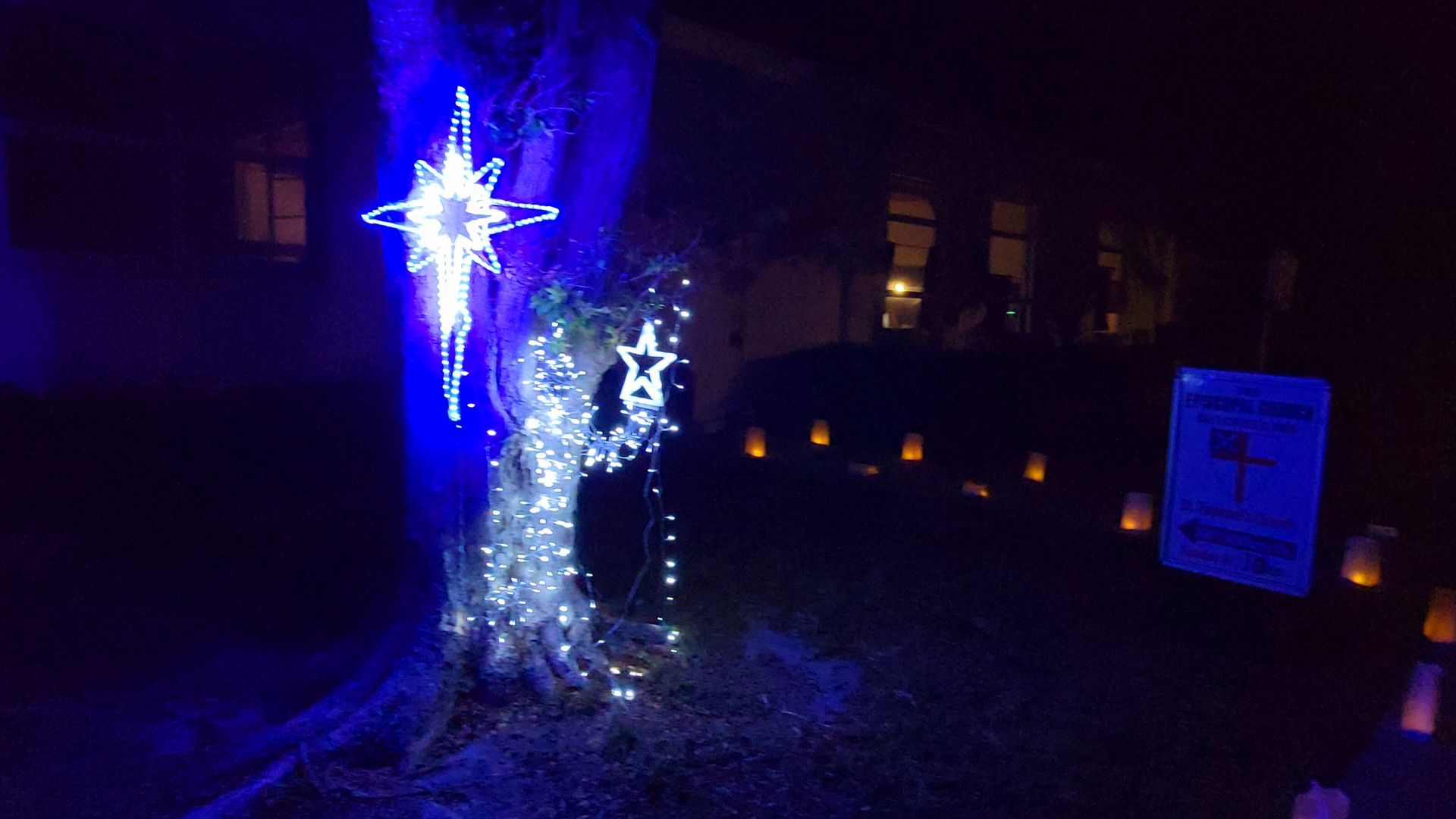 Christmas lights in a yard at night. Blue star-shaped lights adorn a tree. Lit luminaries line the ground.