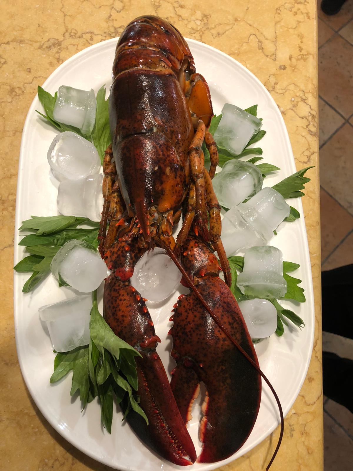 lobster