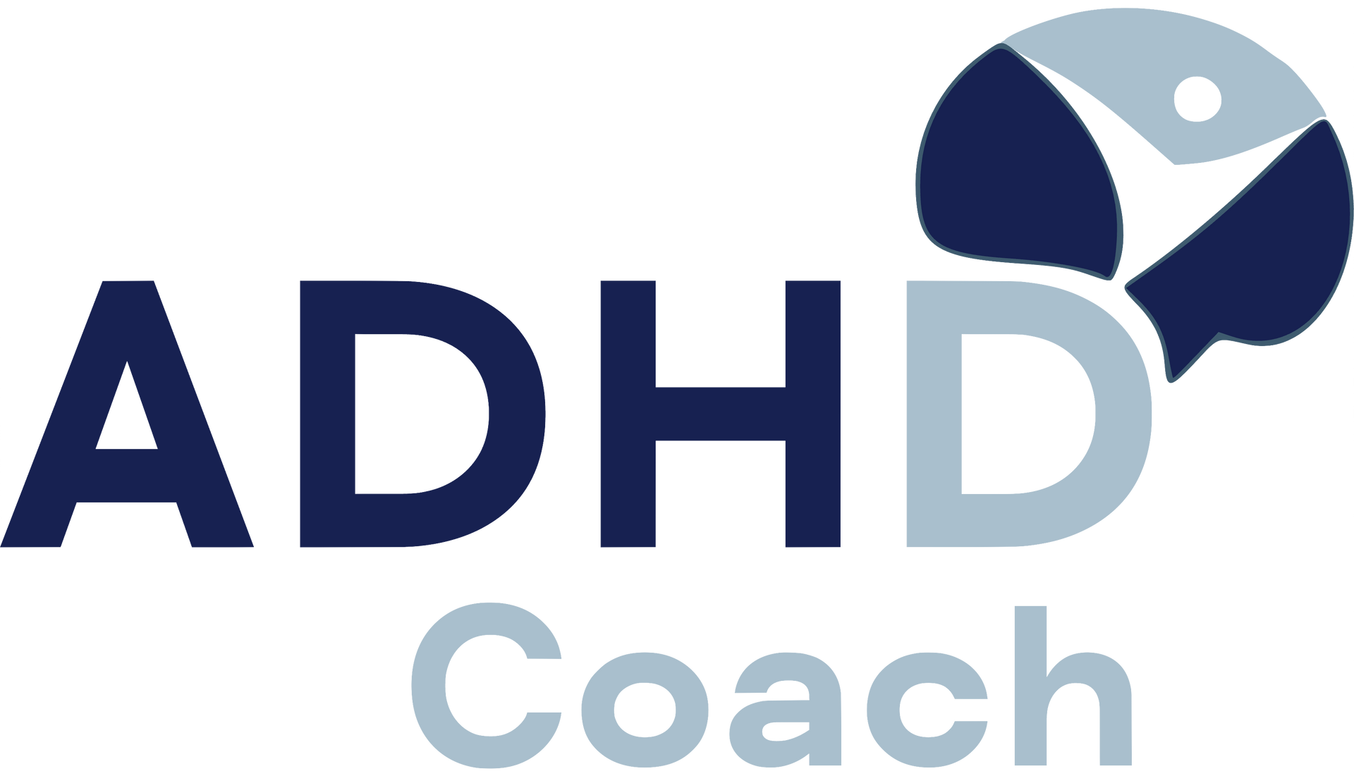 ADHD Coach