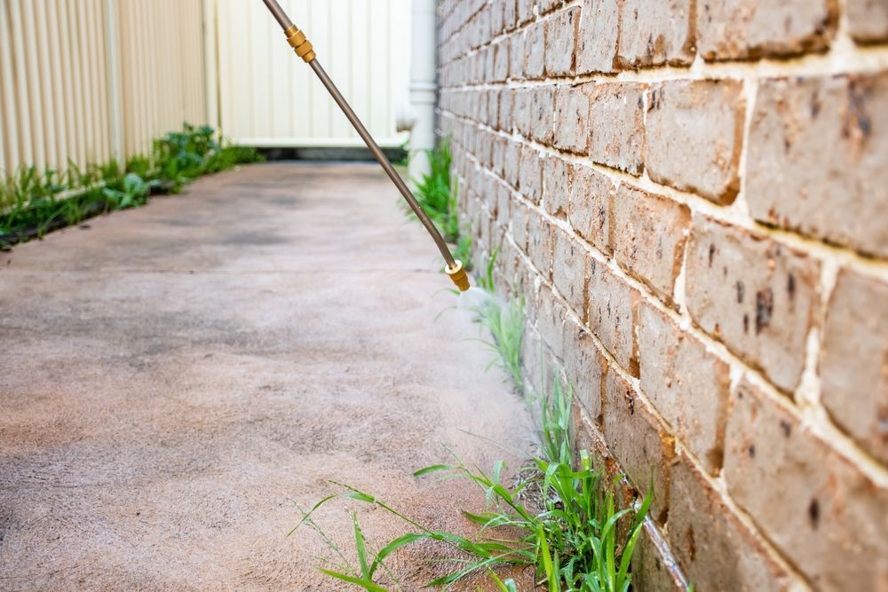 Person Using a Propane Torch on a Wooden Structure — McMahon Pest Services In Bentley Park, QLD