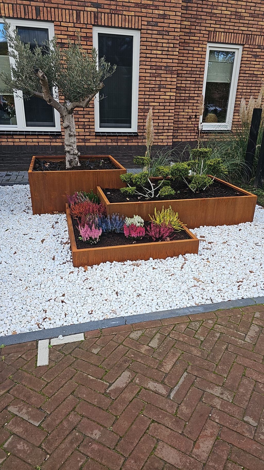 Gelaagde plantenbakken van cortenstaal met een olijfboom en kleine struiken, geplaatst in een wit grindbed tegen een bakstenen huis.