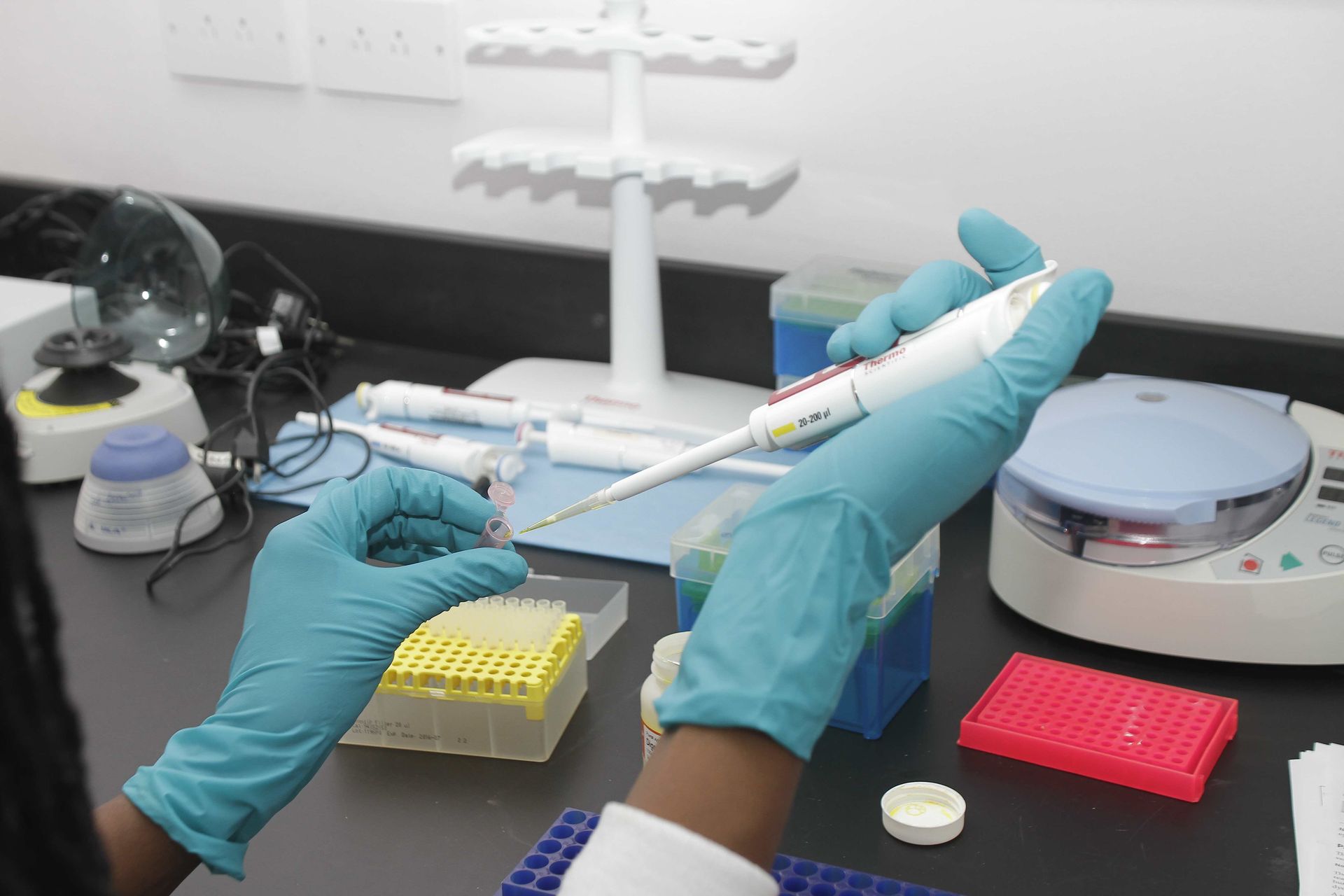 A person wearing blue gloves is using a pipette in a lab.