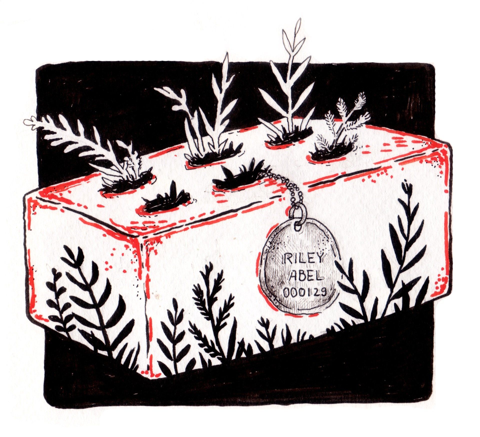 Mariella Fahr Illustration