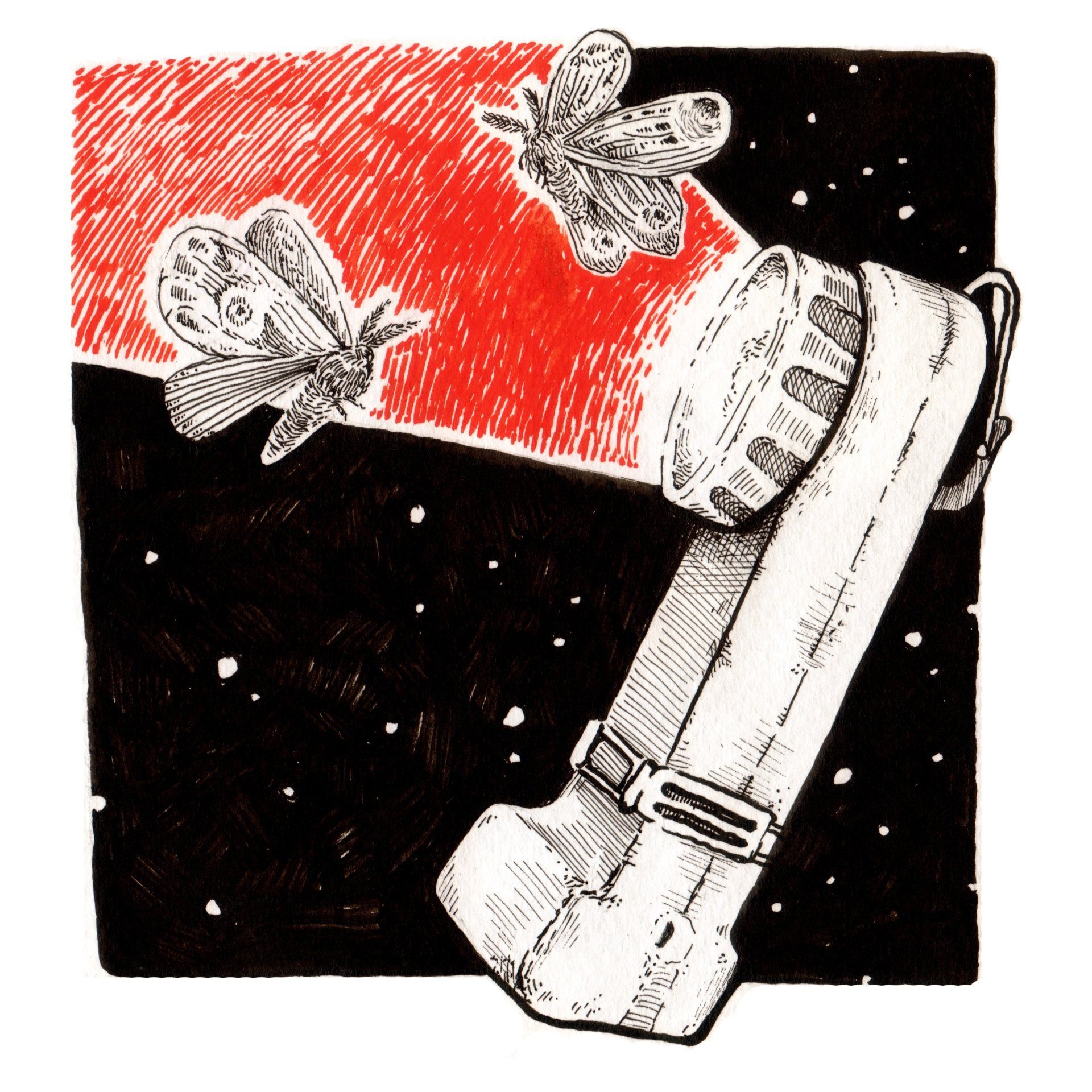 Mariella Fahr Illustration