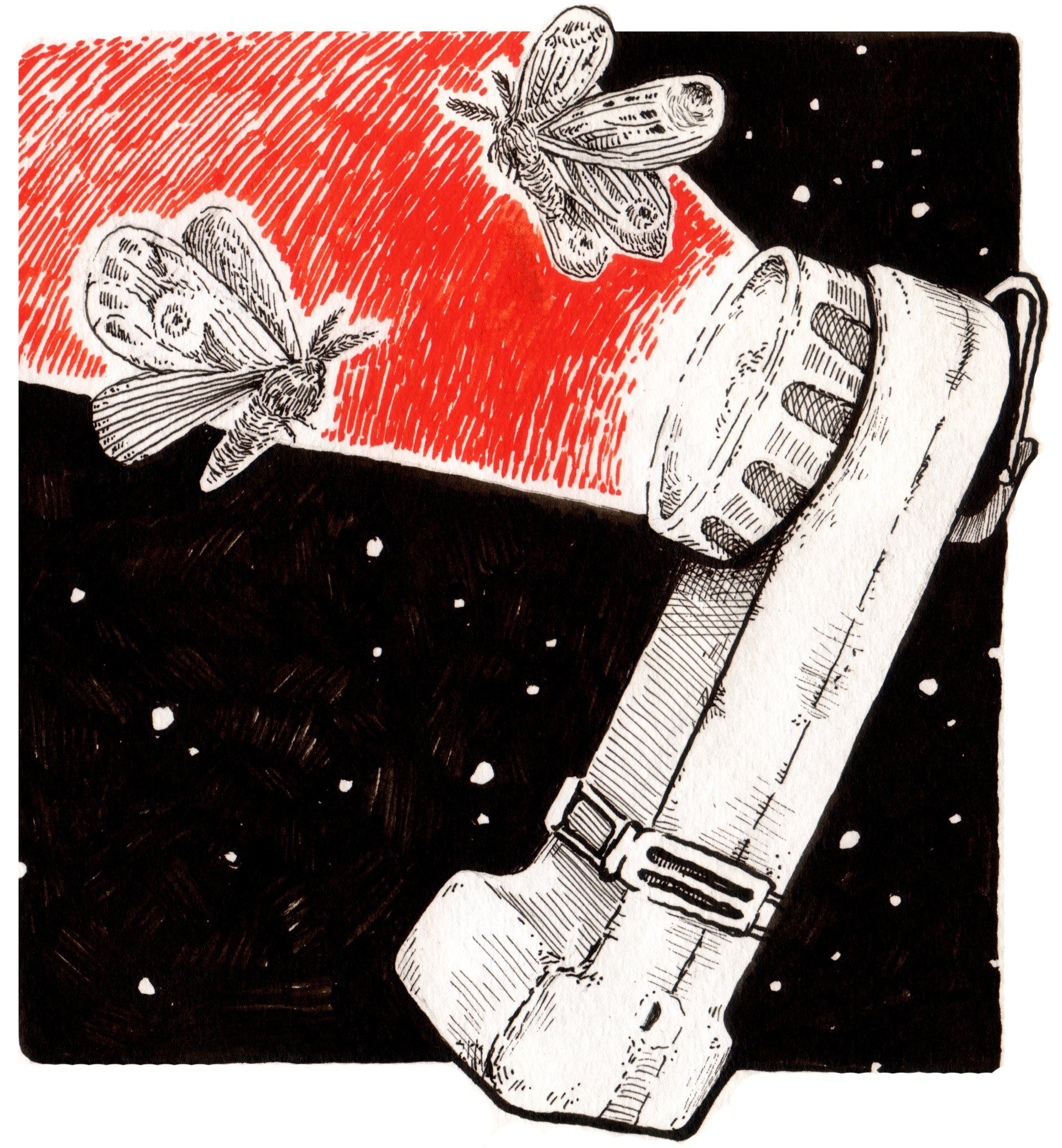 Mariella Fahr inktober 2021