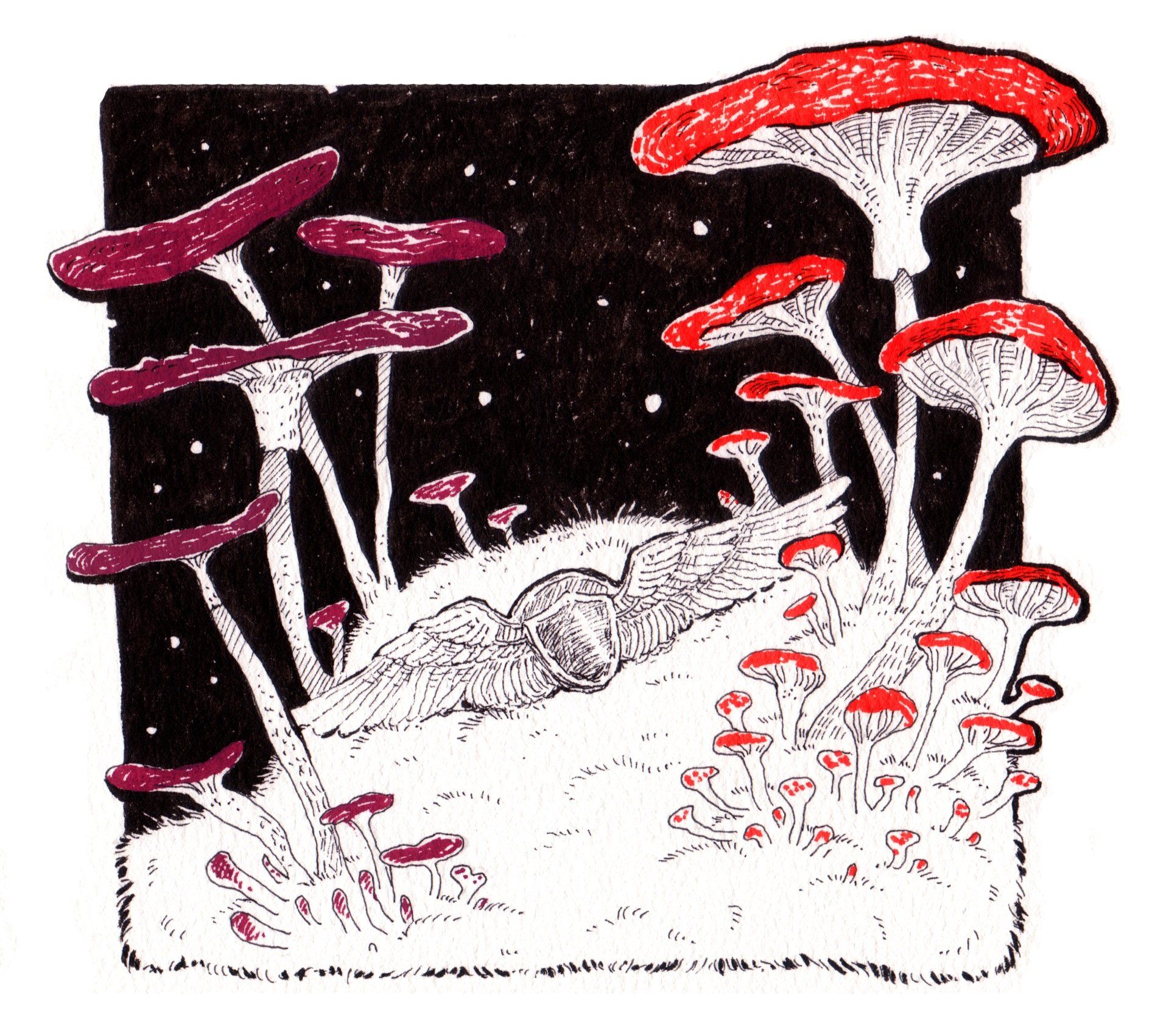 Mariella Fahr Illustration