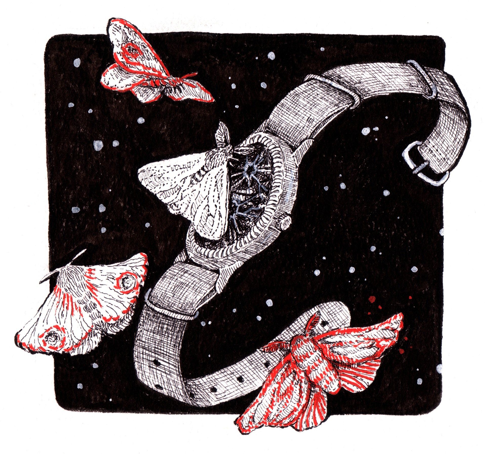 Mariella Fahr Illustration