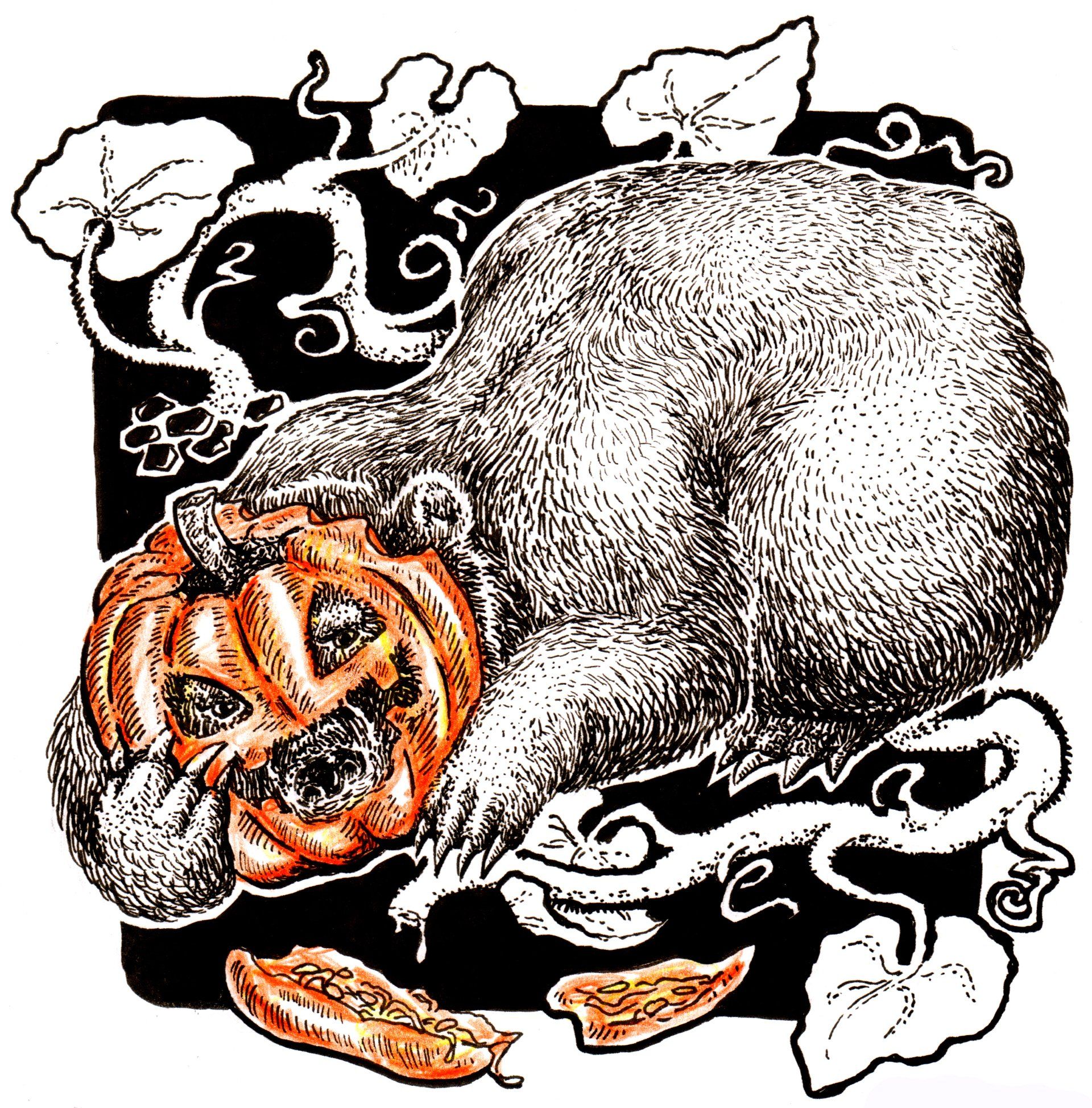 Mariella Fahr Inktober Illustration Bär und Kürbiss