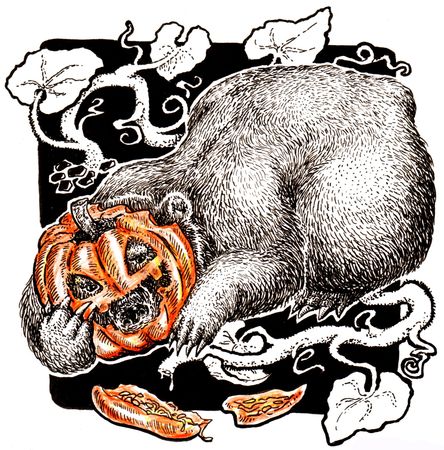 Mariella Fahr Inktober Illustration Bär und Kürbiss