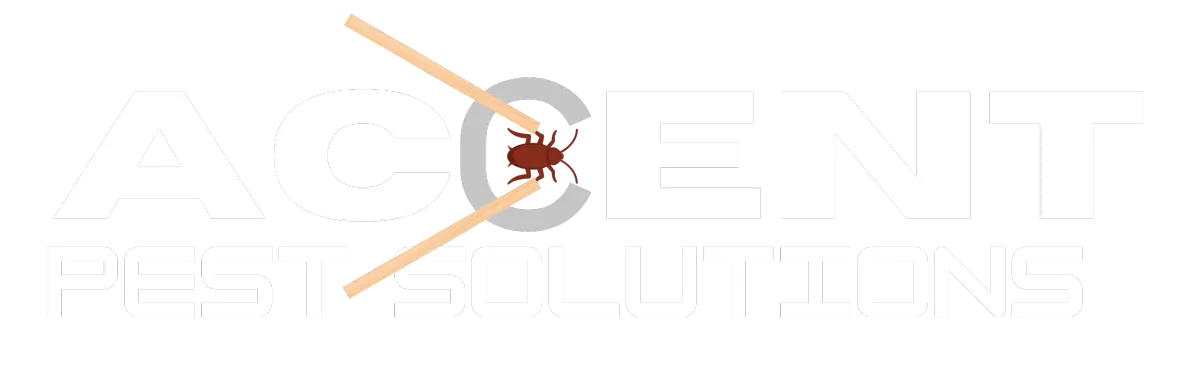 Pest Control in New Orleans, LA | Accent Pest Solutions