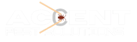 Pest Control in New Orleans, LA | Accent Pest Solutions