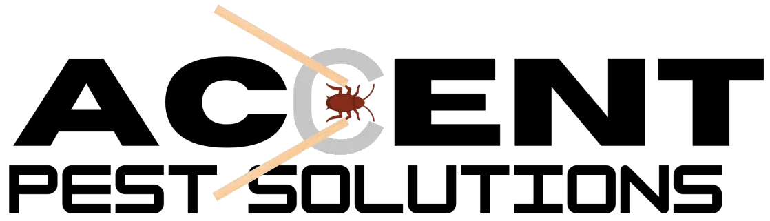 Pest Control in New Orleans, LA | Accent Pest Solutions
