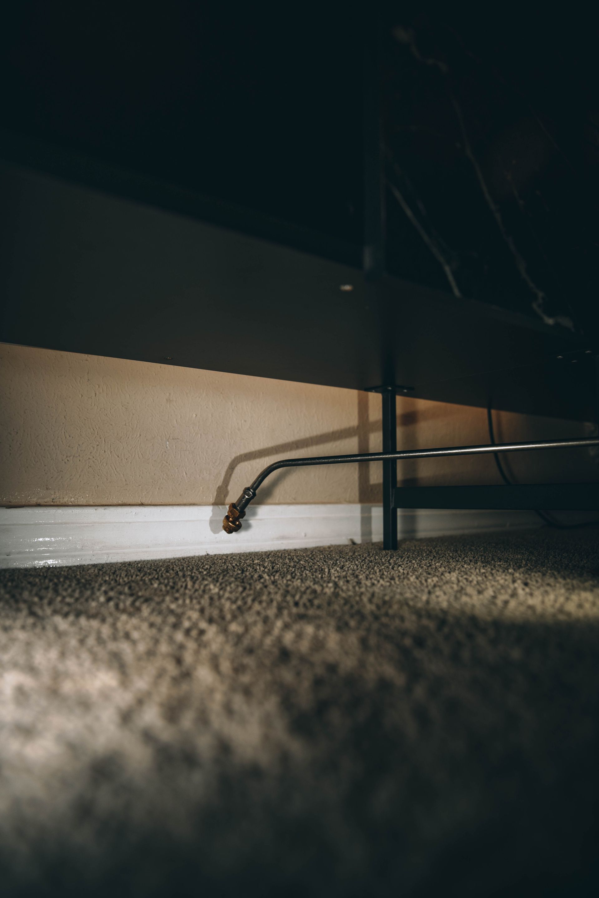 Bed Bug Control in New Orleans, LA