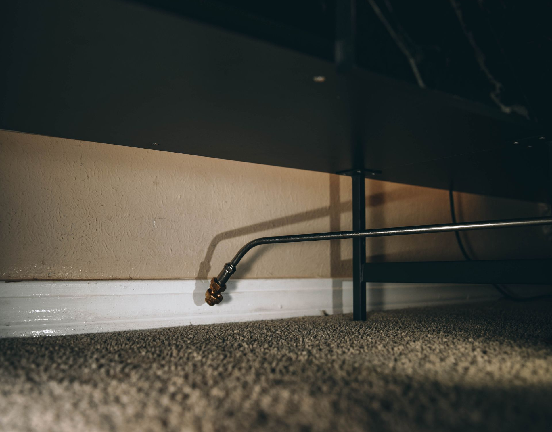 Bed Bug Control in New Orleans, LA