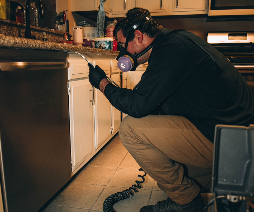 About Accent Pest Solutions in New Orleans, LA