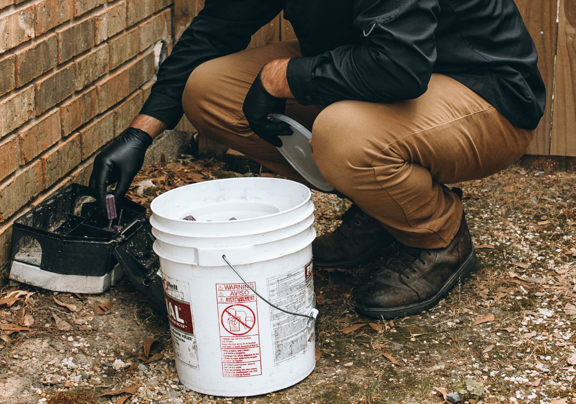 Termite Control in New Orleans, LA