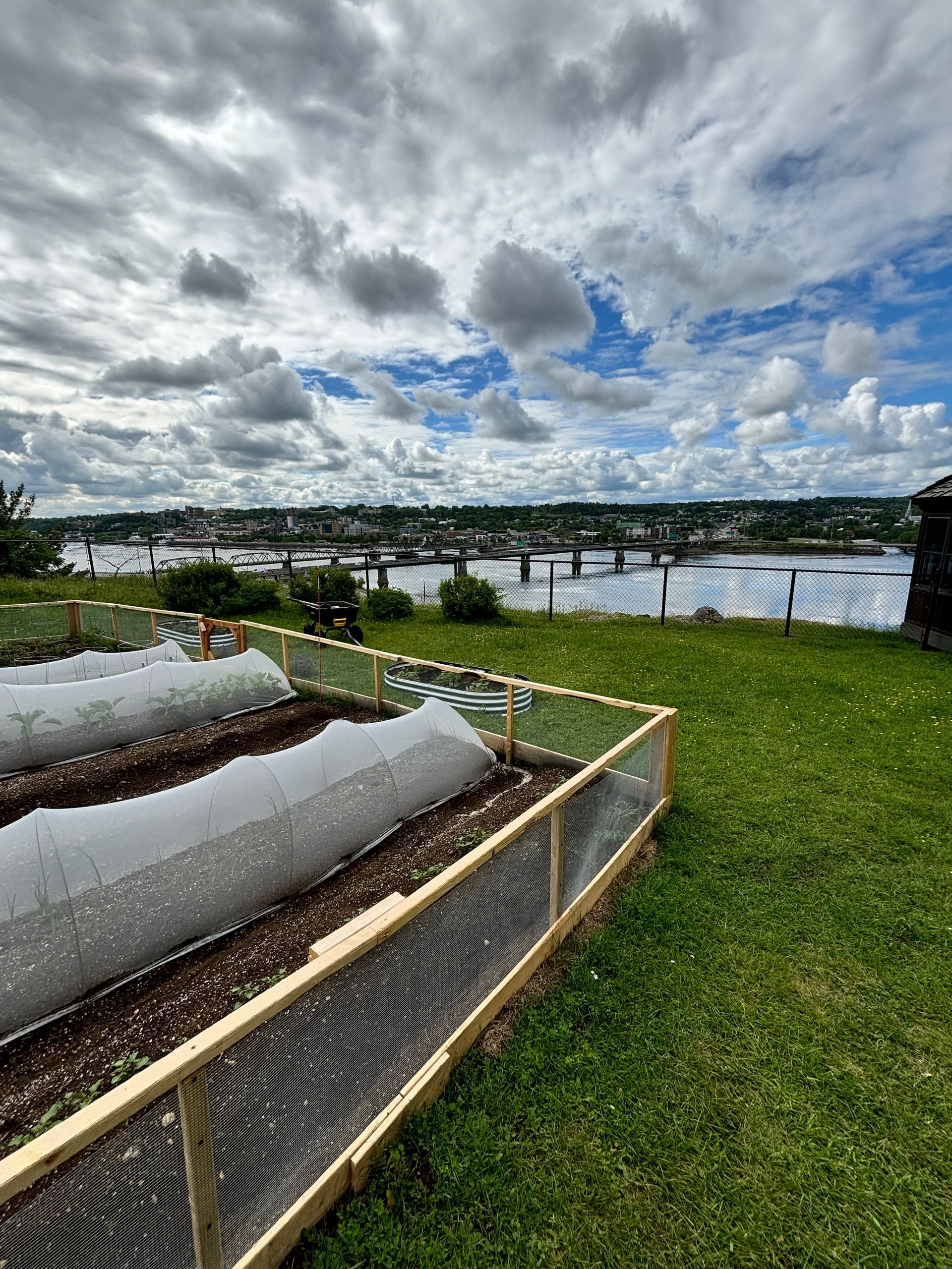 Des potagers surélevés au bord d’un lac, sous un ciel nuageux, avec de l’herbe verte et un ponton en bois au loin