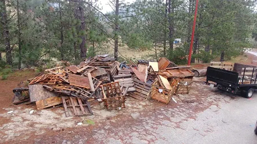 electronic recycling services near me