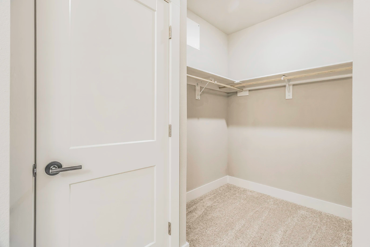 White closet door open to an empty walk-in closet with beige carpet and shelves.