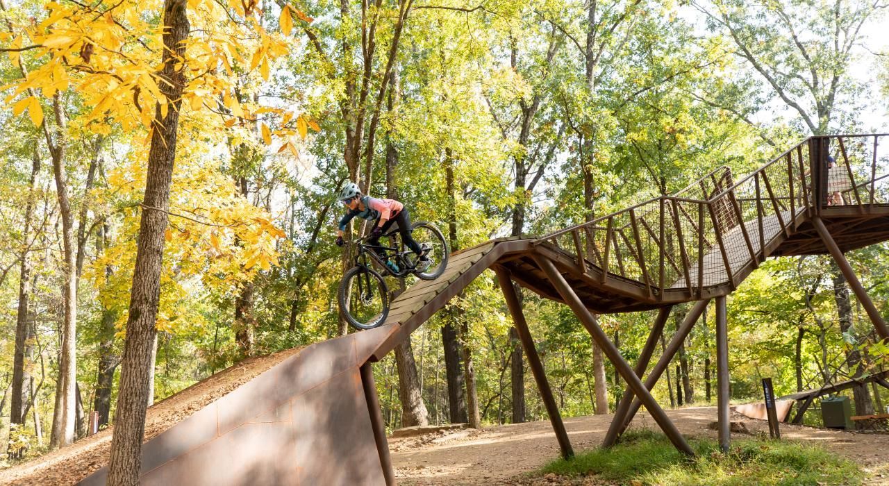 Person riding a mountain bike on a wooden track in a forest setting.