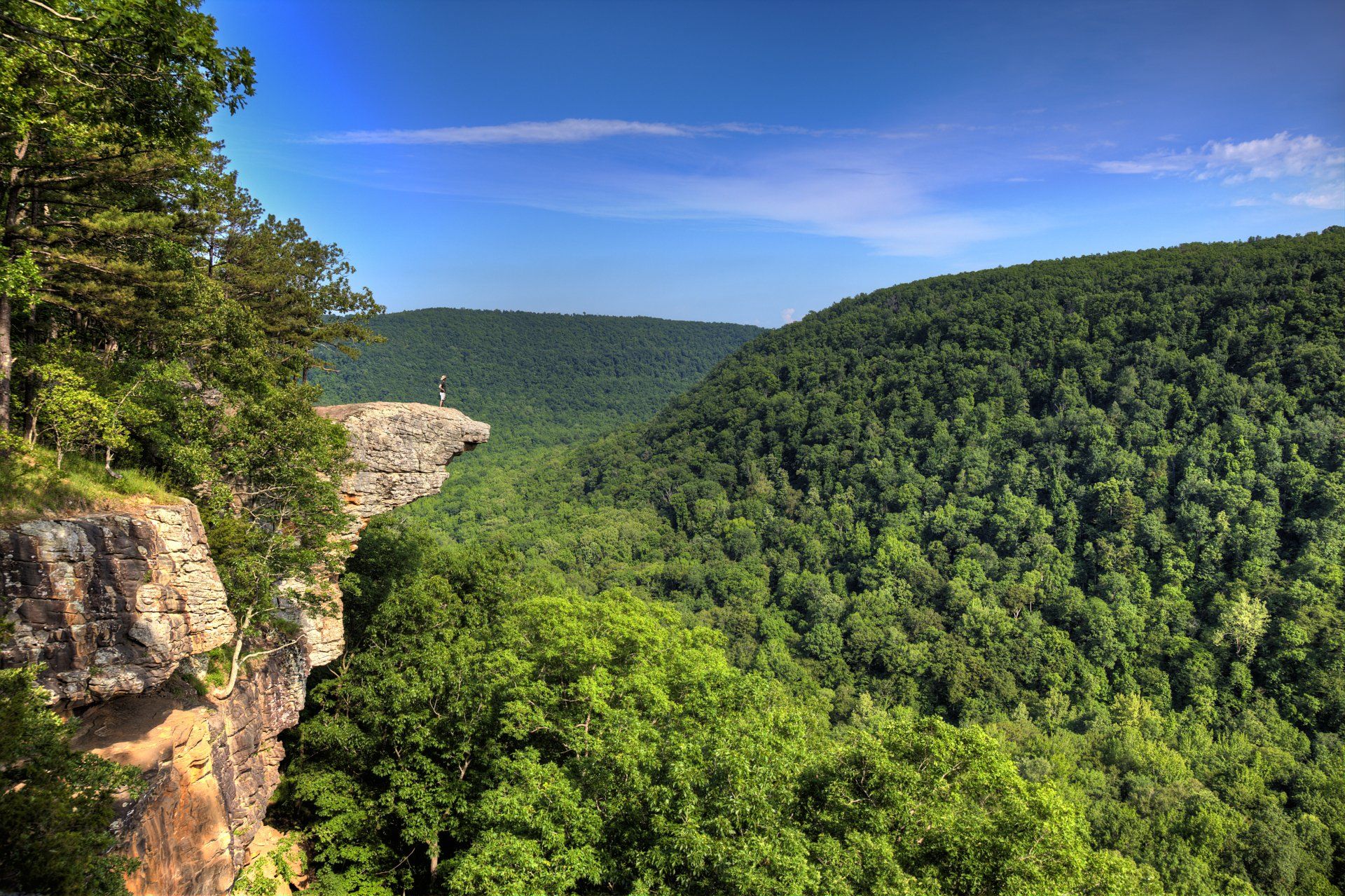 A lush green valley with forest, cliffs, and a bright blue sky.