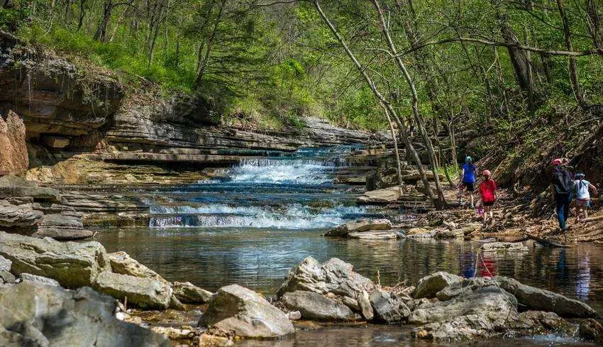 Stream flowing over rocky ledges in a forest; several people explore the stream’s edge.