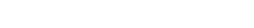 White horizontal banner with a thin gray border and black line across the center