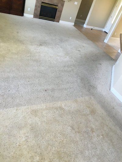 A living room with a fireplace and a carpeted floor.