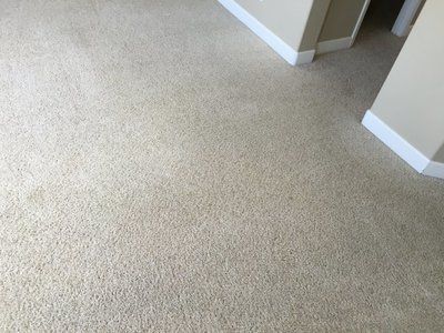 A close up of a white carpeted floor in a room.