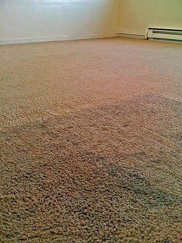 A room with a carpeted floor and a radiator on the wall.