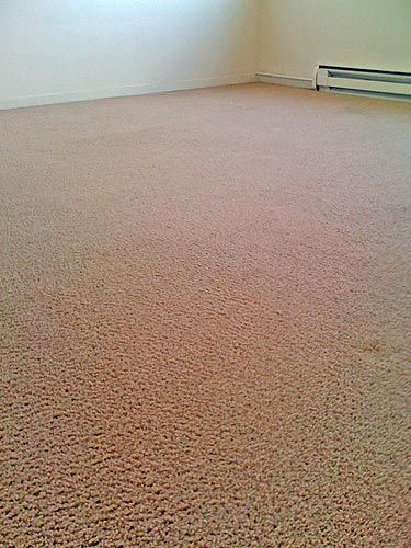 A large carpeted floor in an empty room with a radiator.