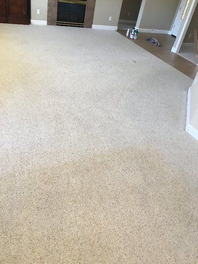 A living room with a fireplace and a carpeted floor.